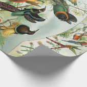 ヴィンテージ鳥の古いイラストレーション芸術動物 ラッピングペーパー (角)