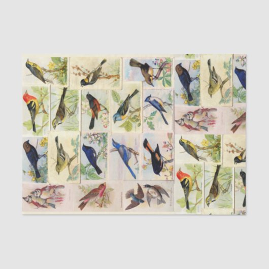 ヴィンテージ鳥はがきのデコペティッシュペーパー 薄葉紙 (正面)