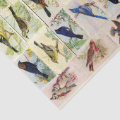 ヴィンテージ鳥はがきのデコペティッシュペーパー 薄葉紙 (詳細)