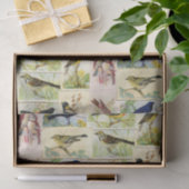 ヴィンテージ鳥はがきのデコペティッシュペーパー 薄葉紙 (ギフト)