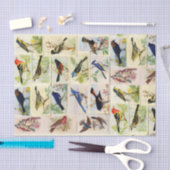 ヴィンテージ鳥はがきのデコペティッシュペーパー 薄葉紙 (クラフト)