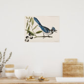 ヴィンテージ鳥イラストレーション ポスター (キッチン)