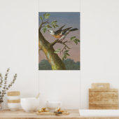 ヴィンテージ鳥イラストレーション ポスター (キッチン)