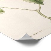 ヴィンテージ鳥イラストレーション ポスター (角)