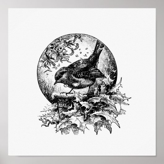 ヴィンテージ鳥イラストレーション ポスター (正面)