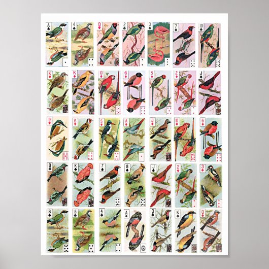 ヴィンテージ鳥トランプ動物野生動物アート ポスター (正面)