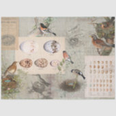 ヴィンテージ鳥ネストエッグスクリプトEphemera Decompage 薄葉紙 (正面)
