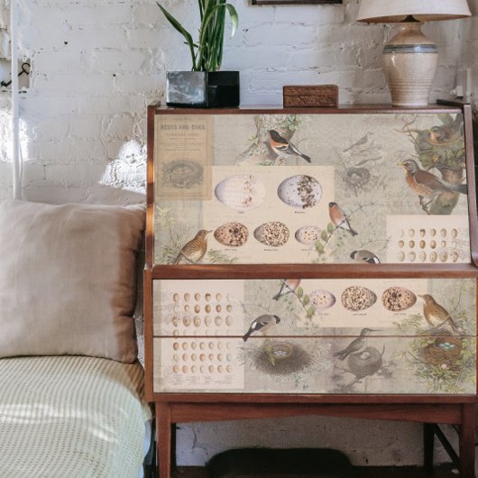 ヴィンテージ鳥ネストエッグスクリプトEphemera Decompage 薄葉紙