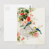 ヴィンテージ鳥フランスのデザイン ポストカード (正面/裏面)