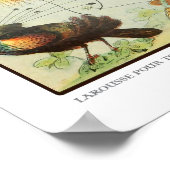 ヴィンテージ鳥プリントフランスのバードポスター ポスター (角)