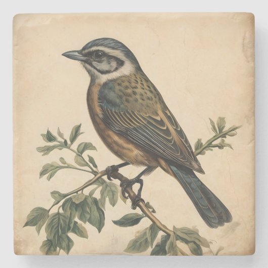 ヴィンテージ鳥プリント ストーンコースター (正面)