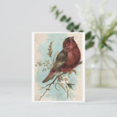 ヴィンテージ鳥プリント ポストカード (スタンド正面)