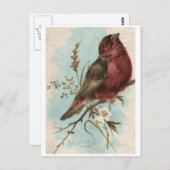 ヴィンテージ鳥プリント ポストカード (正面/裏面)