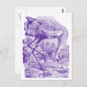 ヴィンテージ鳥写真 |紫 | Whooping Crane ポストカード (正面/裏面)