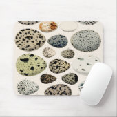 ヴィンテージ鳥卵イラストレーションマウスパッド マウスパッド (マウス)
