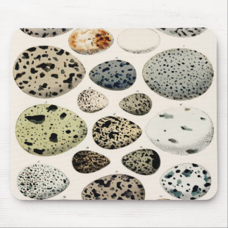 ヴィンテージ鳥卵イラストレーションマウスパッド マウスパッド