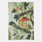 ヴィンテージ鳥古本イラストレーション美術動物 キッチンタオル (縦)