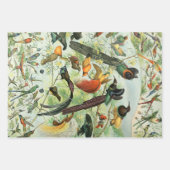 ヴィンテージ鳥古本イラストレーション美術動物 ラッピングペーパーシート (正面2)