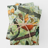 ヴィンテージ鳥古本イラストレーション美術動物 ラッピングペーパーシート (インサイチュ)