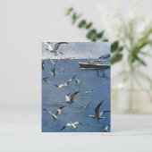 ヴィンテージ鳥獣、カモメ、魚釣りボート ポストカード (スタンド正面)
