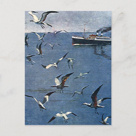 ヴィンテージ鳥獣、カモメ、魚釣りボート ポストカード (正面)