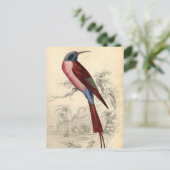 ヴィンテージ鳥 ポストカード (スタンド正面)