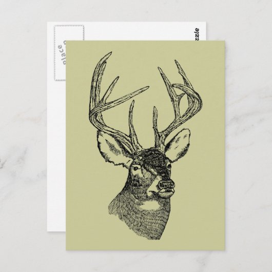 ヴィンテージ鹿アートグラフィック ポストカード (正面/裏面)