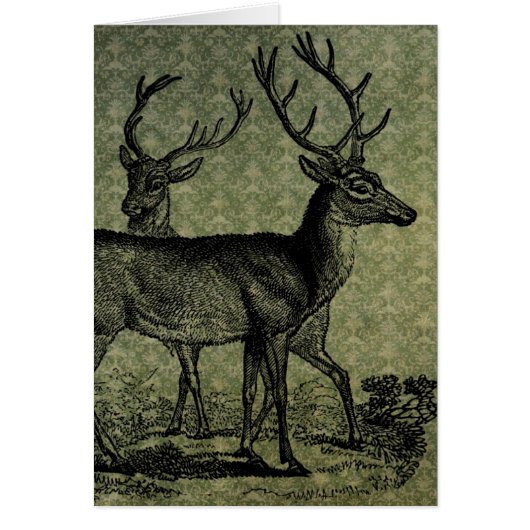 ヴィンテージ鹿 (正面)