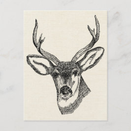 ヴィンテージ鹿 ポストカード