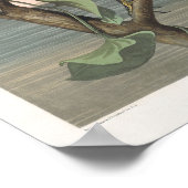 ヴィンテージ黄冠のナイトヘロンポスタープリント ポスター (角)