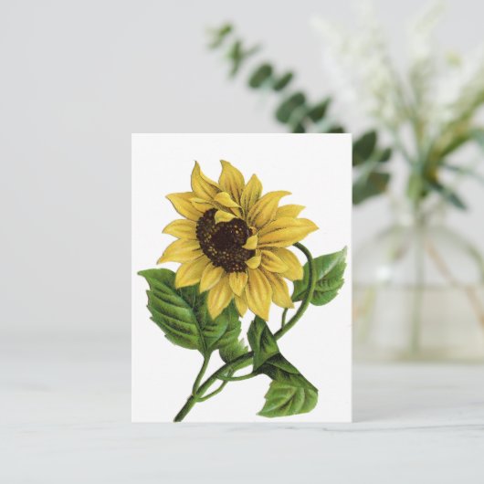 ヴィンテージ黄色ひまわり空白のフローラ葉書 ポストカード (スタンド正面)