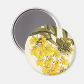 ヴィンテージ黄色Oncidium Orchid、熱帯花 マグネット (正面/裏面)