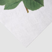 ヴィンテージ黄薔薇 薄葉紙 (詳細)