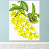 ヴィンテージ黄蘭の花 キャンバスプリント (インサイチュ (ウッドフロア))