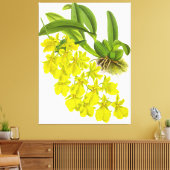 ヴィンテージ黄蘭の花 キャンバスプリント (インサイチュ (リビング))