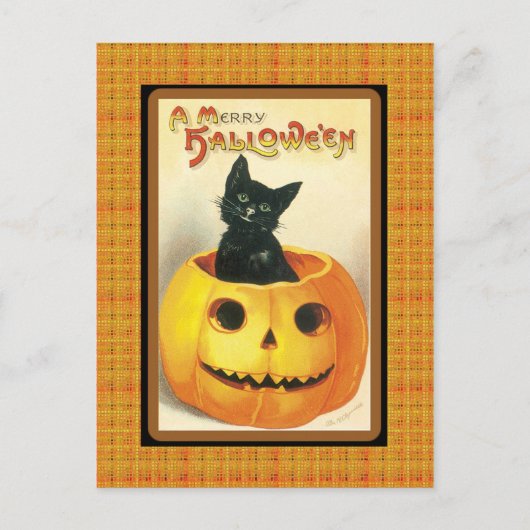 ヴィンテージ黒猫かぼちゃハロウィーンポストカード ポストカード (正面)