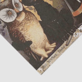 ヴィンテージ黒猫とフクロウのハロウィン 薄葉紙 (詳細)