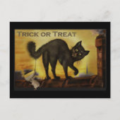 ヴィンテージ黒猫はがき ポストカード (正面)