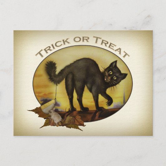 ヴィンテージ黒猫はがき ポストカード (正面)