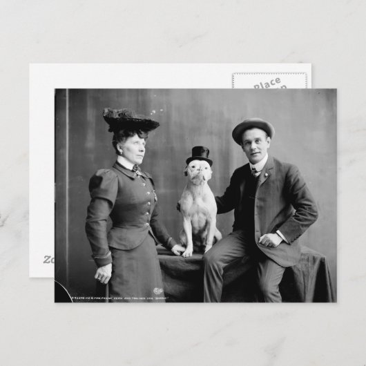 ヴィンテージ黒白写真犬の帽子をかぶった帽子 ポストカード (正面/裏面)