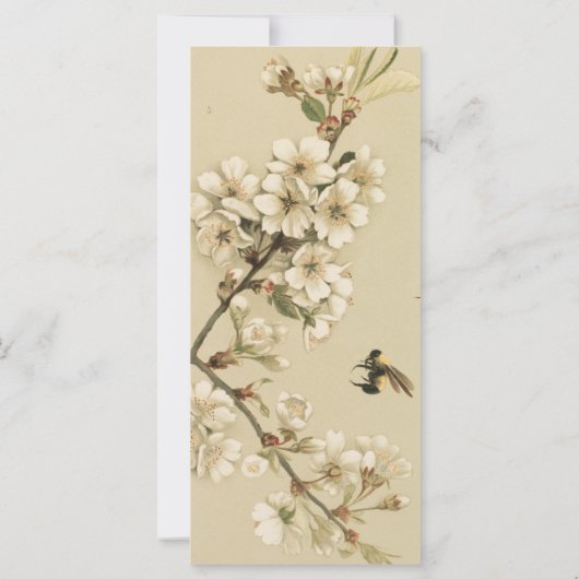 ヴィンテージ (裏面)