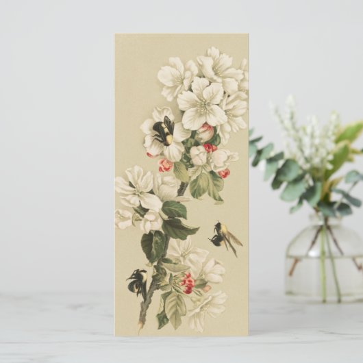 ヴィンテージ (スタンド正面)