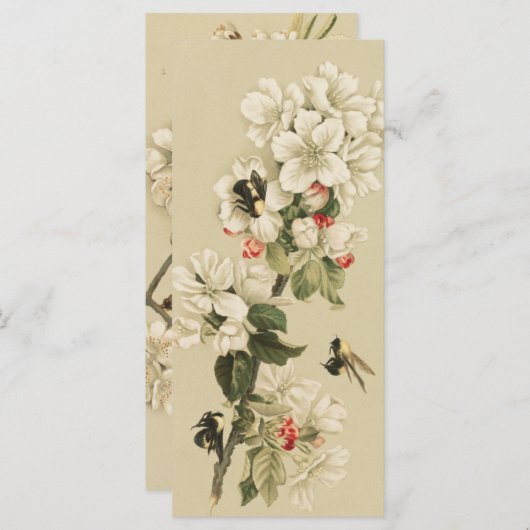 ヴィンテージ (正面/裏面)