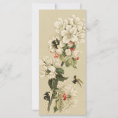 ヴィンテージ (正面)