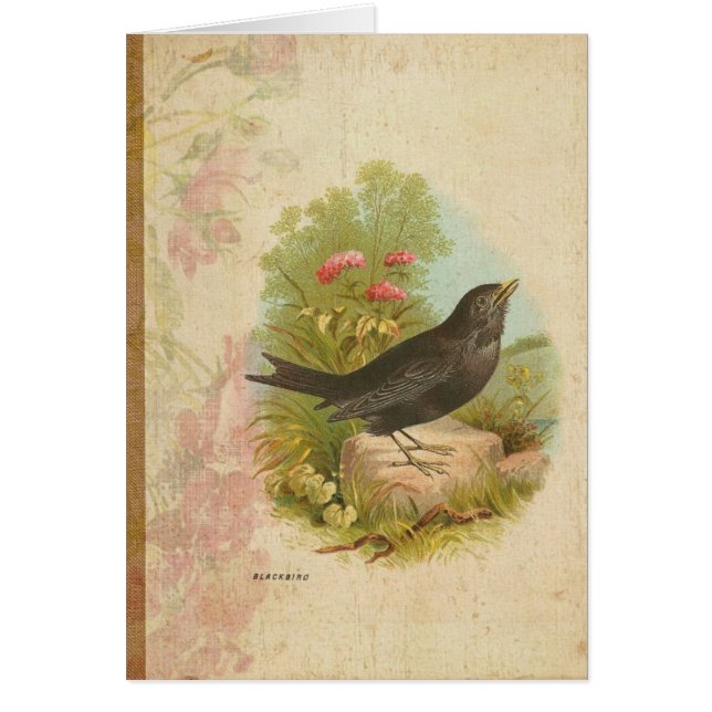 ヴィンテージ (正面)