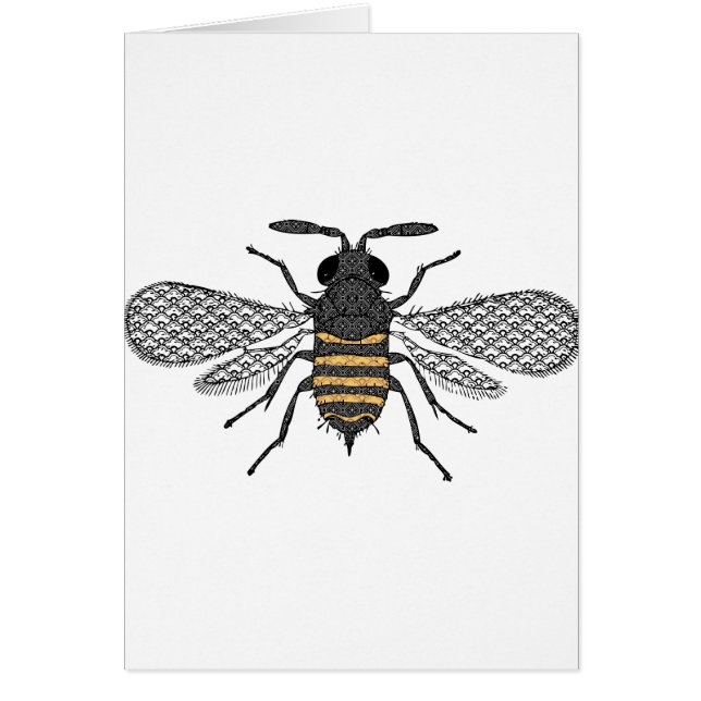 ヴィンテージ (正面)