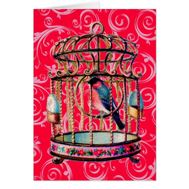 ヴィンテージ (正面)