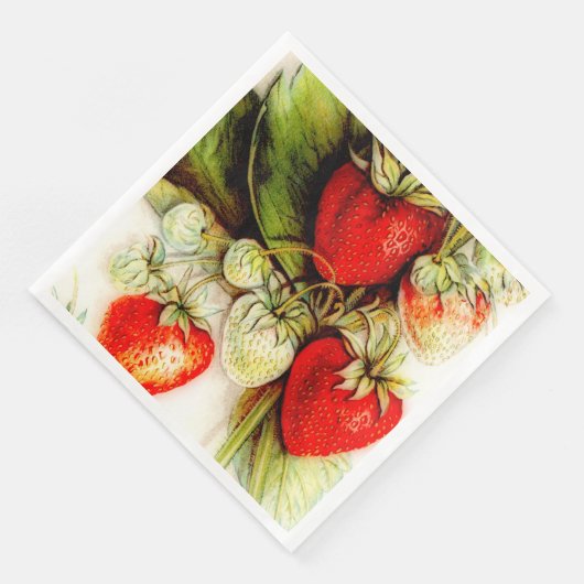 ヴィンテージ (コーナー)