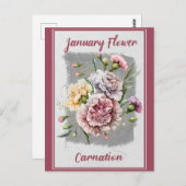 ヴィンテージ1月花カーネーション花 ポストカード (正面/裏面)