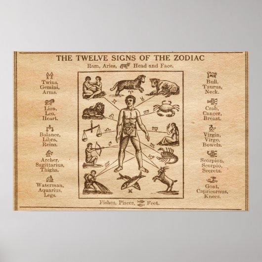 ヴィンテージ12シンボルや象徴の〔占星術の〕十二宮図 ポスター (正面)